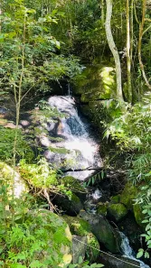 Fazenda/Sítio com 6 Quartos à venda, 30000m² no Itapeva, Itapeva