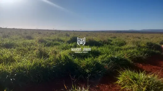 Fazenda/Sítio à venda, 1m² no , São João da Ponte