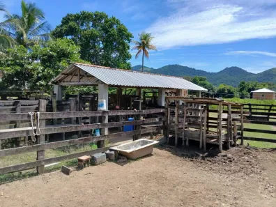 Fazenda/Sítio com 2 Quartos à venda, 2610000m² no Barra Nova, Saquarema