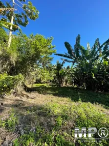Lote/Terreno à venda, 743m² no São Pedro da Serra, Nova Friburgo