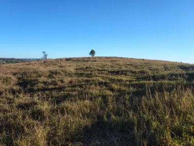 Fazenda/Sítio à venda, 411400m² no , Porangaba