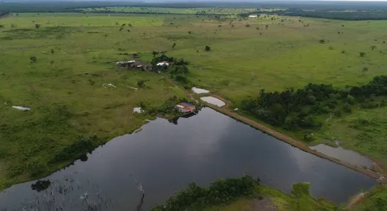 Fazenda/Sítio à venda, 1388m² no Setor Central, Lagoa da Confusão