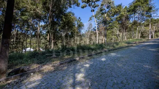 Lote/Terreno à venda, 602m² no Cônego, Nova Friburgo