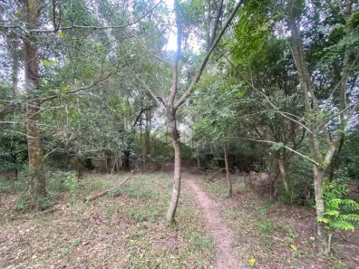 Lote/Terreno à venda, 1600m² no Diácono João Luiz Pozzobon, Santa Maria