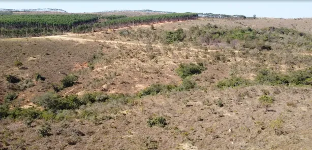 Lote/Terreno à venda, 20000m² no , Cordisburgo