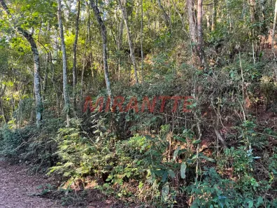 Lote/Terreno à venda, 1350m² no Roseira, Mairiporã