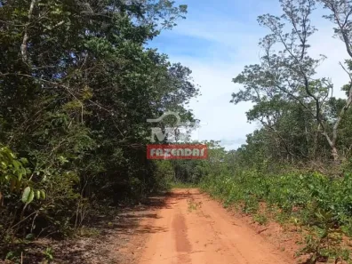 Fazenda/Sítio à venda, 500m² no , Pontal do Araguaia