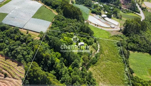 Fazenda/Sítio com 2 Quartos à venda, 50000m² no Otávio Rocha, Flores da Cunha