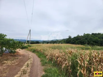 Fazenda/Sítio com 1 Quarto à venda, 5000m² no Morro Do Pedro, Presidente Lucena