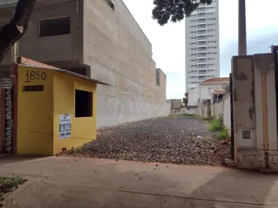 Lote/Terreno para alugar, 313m² no Centro, Araraquara