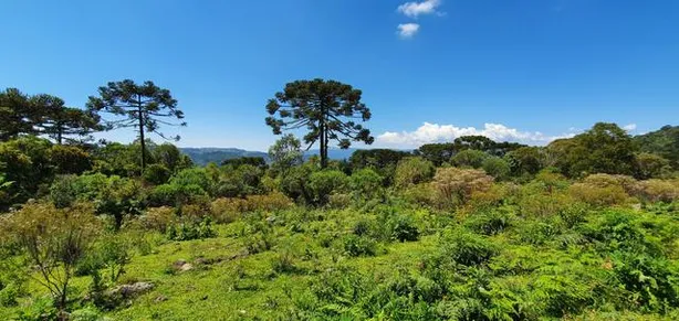 Fazenda/Sítio à venda, 2000m² no , Urubici