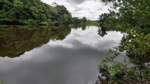 Fazenda/Sítio à venda, 20000m² no Timbuí, Fundão