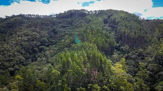 com 2 Quartos à venda, 1m² no , Delfim Moreira