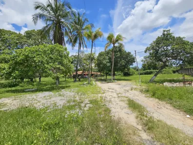 Fazenda/Sítio com 3 Quartos à venda, 6300m² no Pabussu, Caucaia