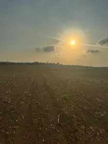 Fazenda/Sítio com 3 Quartos à venda, 5082000m² no , Dom Eliseu