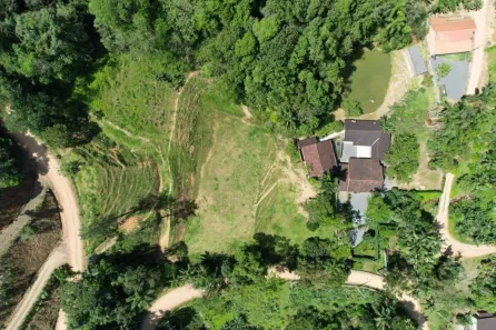 Fazenda/Sítio com 5 Quartos à venda, 300m² no Pedra de Amolar, Corupá