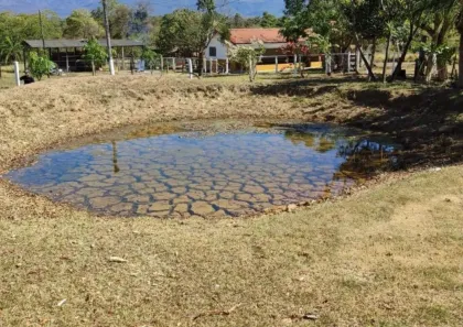 Fazenda/Sítio com 3 Quartos à venda, 295m² no Parque das Laranjeiras, Formosa