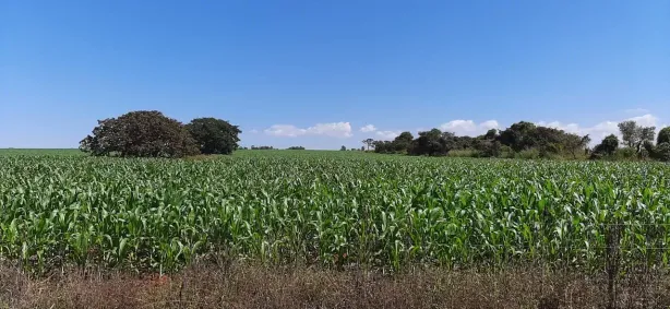 Fazenda/Sítio à venda no Área Rural do Paranoá, Brasília
