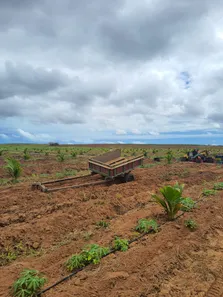 Fazenda/Sítio com 3 Quartos à venda, 500000m² no Centro, Touros