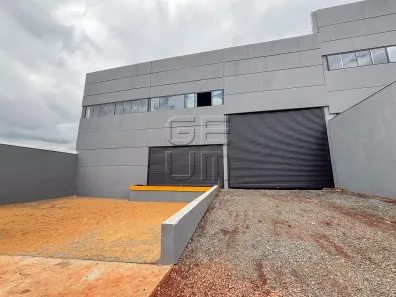 Galpão/Depósito/Armazém para alugar, 800m² no Cilo 2, Londrina