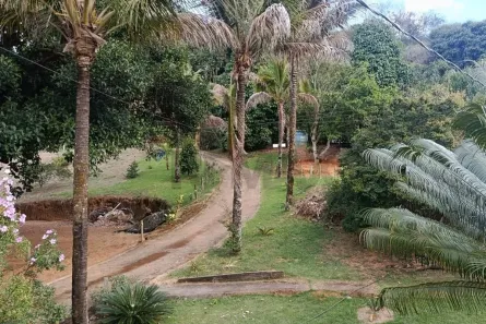 Fazenda/Sítio com 3 Quartos à venda, 150m² no Guaçuí, Guaçuí