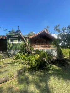 Fazenda/Sítio com 3 Quartos à venda, 3250m² no João Aranha, Paulínia