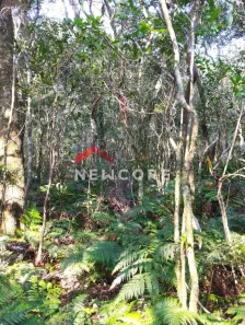 Lote/Terreno à venda, 400m² no Centro, São Francisco de Paula