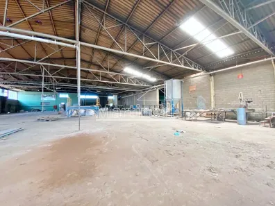 Galpão/Depósito/Armazém à venda, 3000m² no Jardim Ouro Branco, Ribeirão Preto