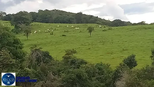 Fazenda/Sítio com 3 Quartos à venda, 176m² no Vila Progresso, Itaberaí