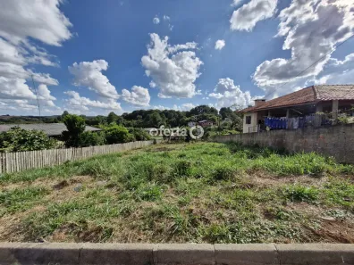 Lotes/Terrenos à venda em Araucária, PR - Viva Real