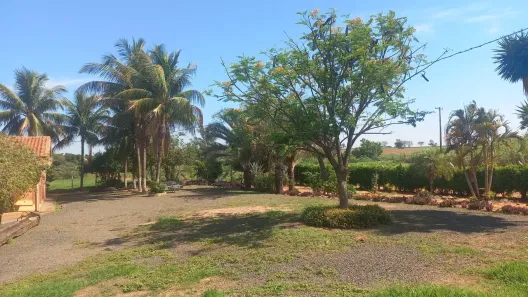 Fazenda/Sítio com 5 Quartos à venda, 96800m² no Área Rural de Birigüi, Birigui