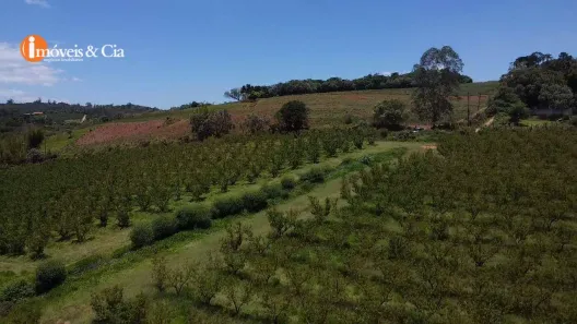 Lote/Terreno à venda, 23000m² no Pitangal, Jarinu