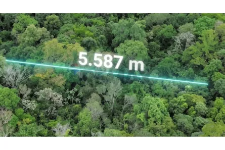 Lote/Terreno à venda, 5587m² no Green Park, Nova Lima