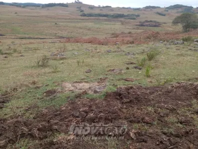 Fazenda/Sítio com 1 Quarto à venda, 503750m² no Vila Seca, Caxias do Sul