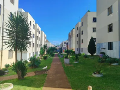 Apartamento com 2 Quartos à venda, 45m² no Jardim Maria Celina, Londrina