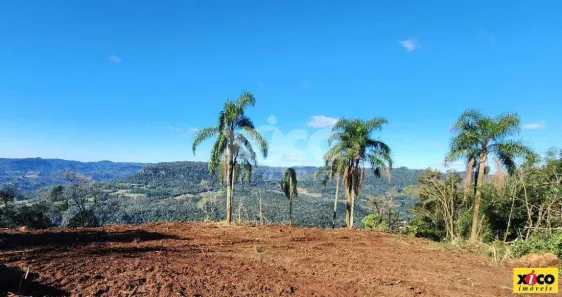 Lote/Terreno à venda, 5000m² no Linha Araripe, Nova Petrópolis