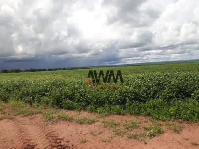 Fazenda/Sítio à venda, 47730000m² no Toneto, Nova Xavantina