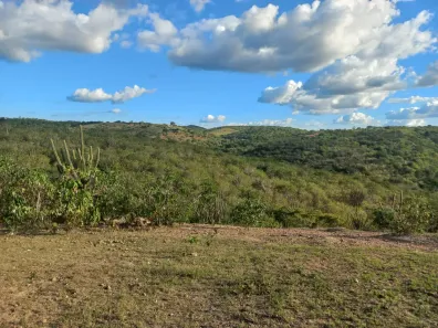 Lote/Terreno à venda, 170000m² no Centro, Solânea