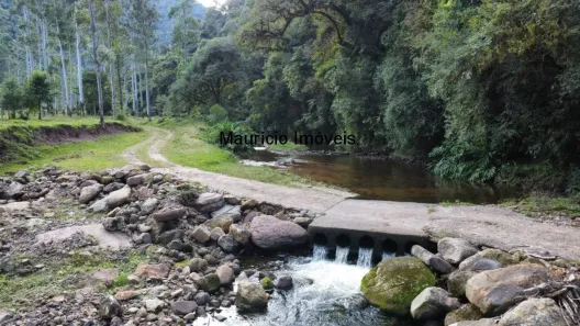 Fazenda/Sítio com 6 Quartos à venda, 110m² no , Taió