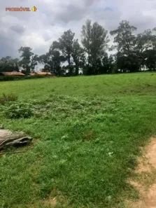 Fazenda/Sítio com 1 Quarto à venda, 50m² no Bom Retiro, Porto Feliz