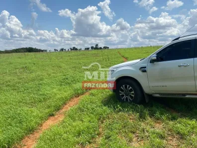 Fazenda/Sítio à venda, 500m² no Setor Central, Mairipotaba