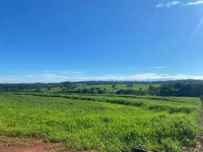 Fazenda/Sítio com 3 Quartos à venda, 2541000m² no Centro, Aparecida do Taboado