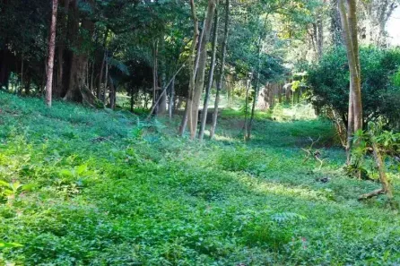 Lote/Terreno à venda, 5120m² no Jardim dos Estados, São Paulo