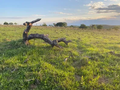 Lote/Terreno à venda, 20000m² no Zona Rural, Paraopeba
