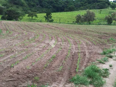 Fazenda/Sítio com 1 Quarto à venda, 3291200m² no Área Rural de Itapetininga, Itapetininga