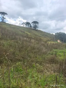 Lote/Terreno à venda, 209000m² no , Maria da Fé