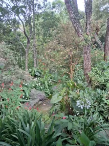 Casa com 2 Quartos à venda, 120m² no Jardim Colibri, Cotia