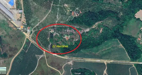 Fazenda/Sítio à venda, 11000m² no Conde, Conde