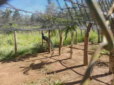 Fazenda/Sítio com 3 Quartos à venda, 10m² no Engenheiro Marsilac, São Paulo
