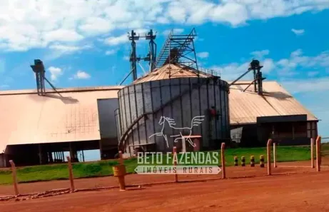 Fazenda/Sítio à venda, 330000000m² no , Porto Alegre do Norte